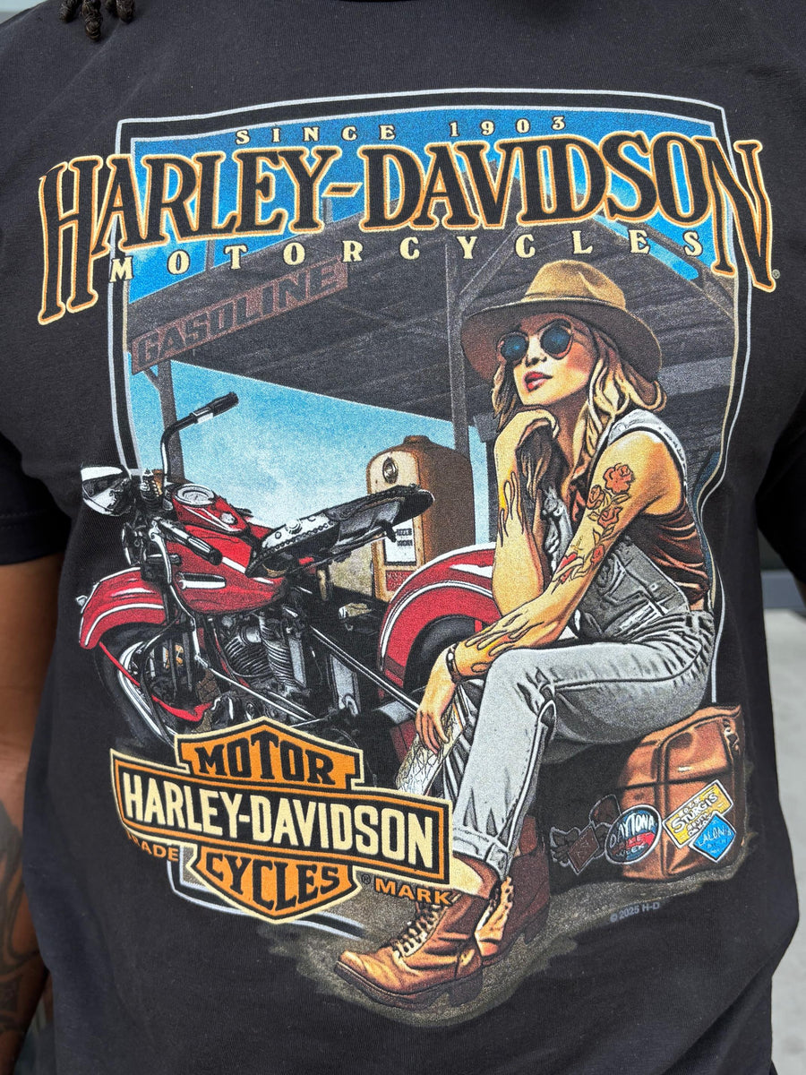 Harley-Davidson Savannah Tシャツ XL Savannah Harley-Davidson custom Men's Hangin' Out t-shirt