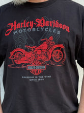 Load image into Gallery viewer, Savannah Harley-Davidson custom Men's HD In The Wind t-shirt