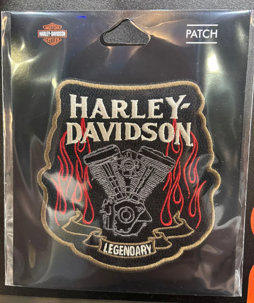 Harley-Davidson Flame Torque 4