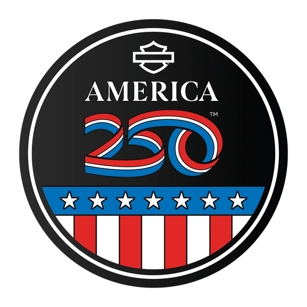H-D 250 Patriotic Pin