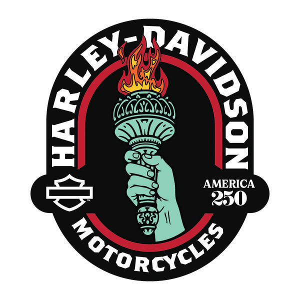 H-D 250 Patriotic Torch Pin