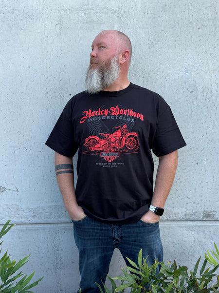 Savannah Harley-Davidson custom Men's HD In The Wind t-shirt