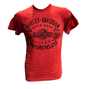 Savannah Harley-Davidson Begin Ride Men's Dealer's T-Shirt