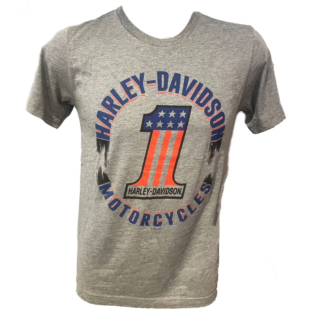 Savannah Harley-Davidson Men's One Streak Short Sleeve T-Shirt Gray